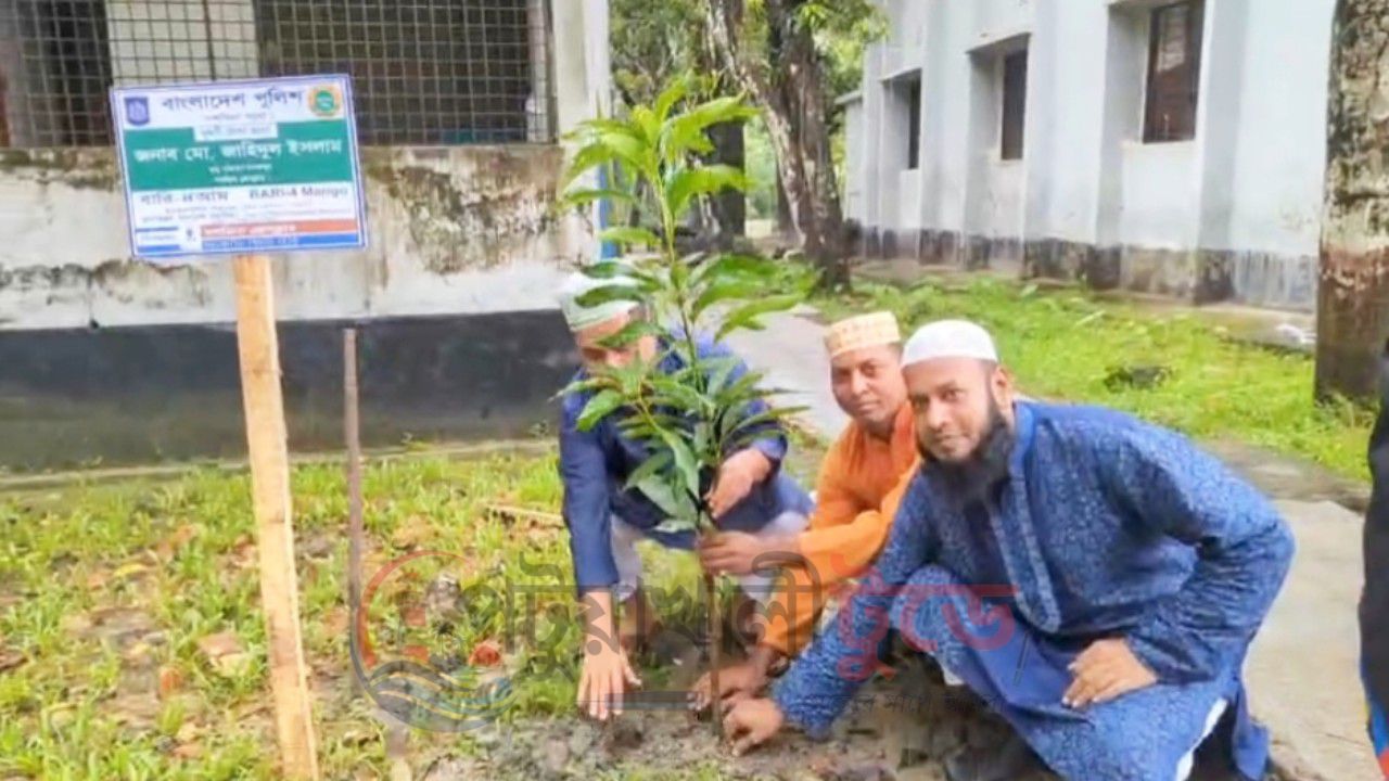 পরিবেশ রক্ষায় দশমিনা প্রেসক্লাবের বৃক্ষরোপণ কর্মসূচি