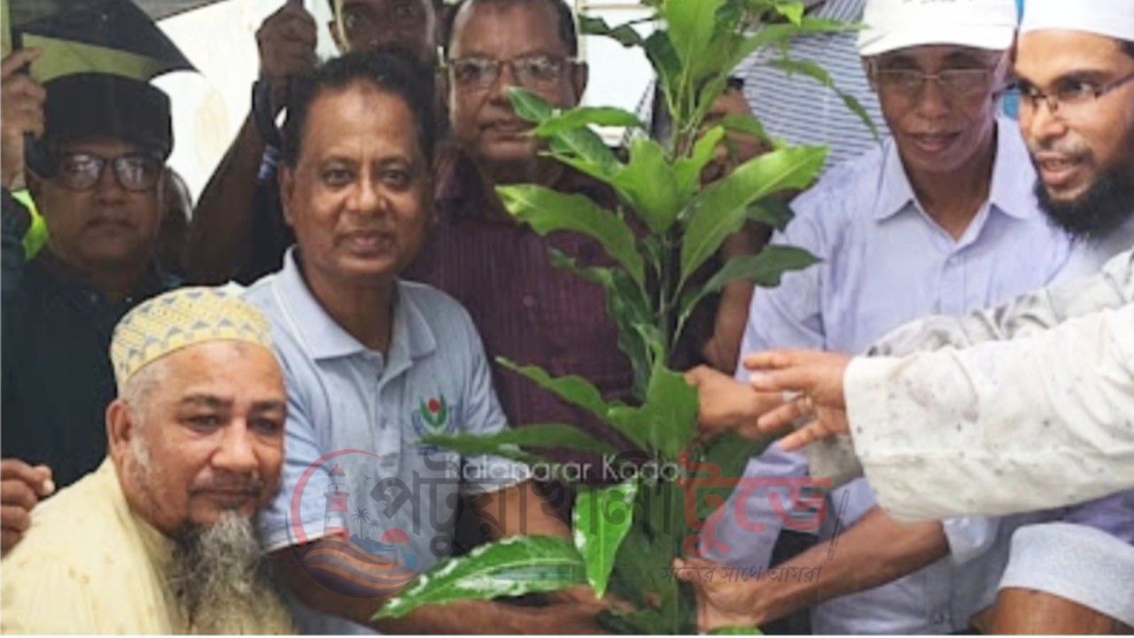 কলাপাড়ায় ওলামা দলের বৃক্ষরোপণ কর্মসূচির উদ্বোধন
