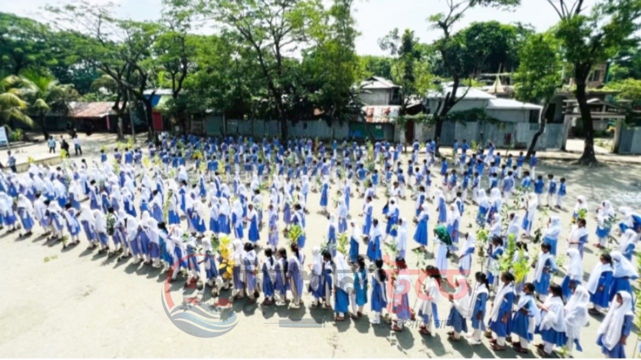 কলাপাড়ায় ৩৭২ শিক্ষার্থীর হাতে ফলদ গাছের চারা    সবুজ উপকূল গড়ার প্রত্যয়ে বিদ্যালয়ে ব্যতিক্রমী উদ্যোগ