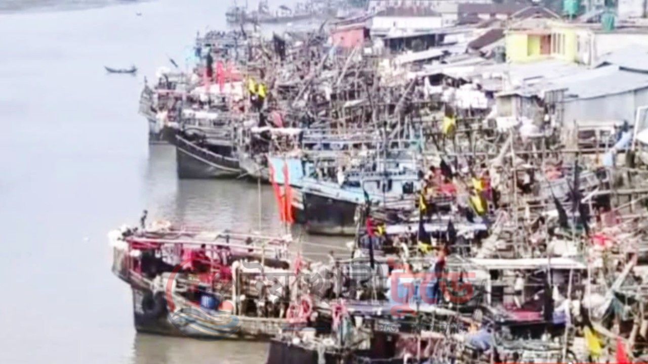 রাত থেকে ইলিশ ধরায় ২২ দিনের নিষেধাজ্ঞা তীরে ফিরছেন উপকূলের হাজারো জেলে, শেষ মুহূর্তে জমজমাট মৎস্যঘাট