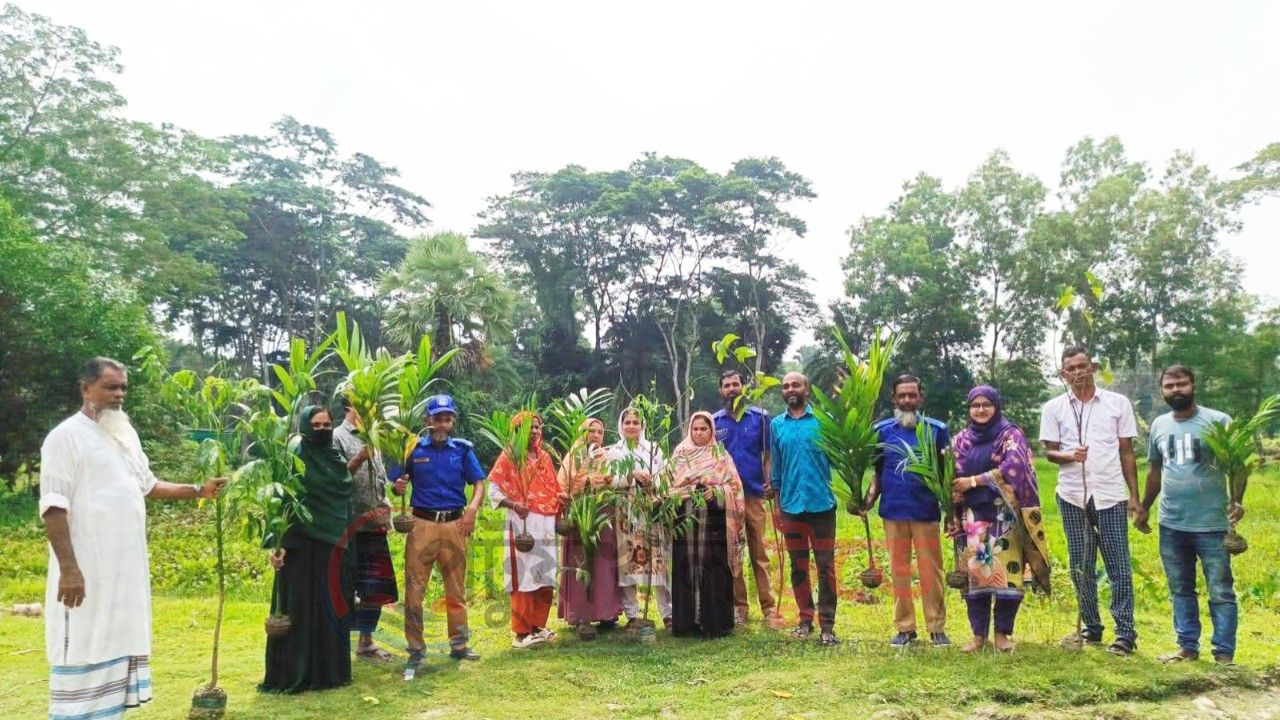বাউফলে জলবায়ু পরিবর্তনের ঝুঁকি মোকাবিলায় বৃক্ষরোপণ কর্মসূচি
