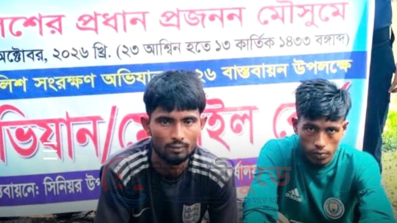 বাউফলে নিষেধাজ্ঞা অমান্য করে ইলিশ শিকার, দুজনের কারাদণ্ড