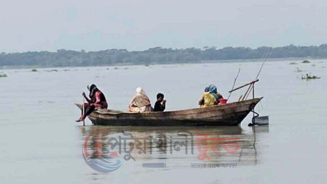 দশমিনায় নিষেধাজ্ঞা অমান্য করে তেঁতুলিয়া নদীতে মা ইলিশ শিকার