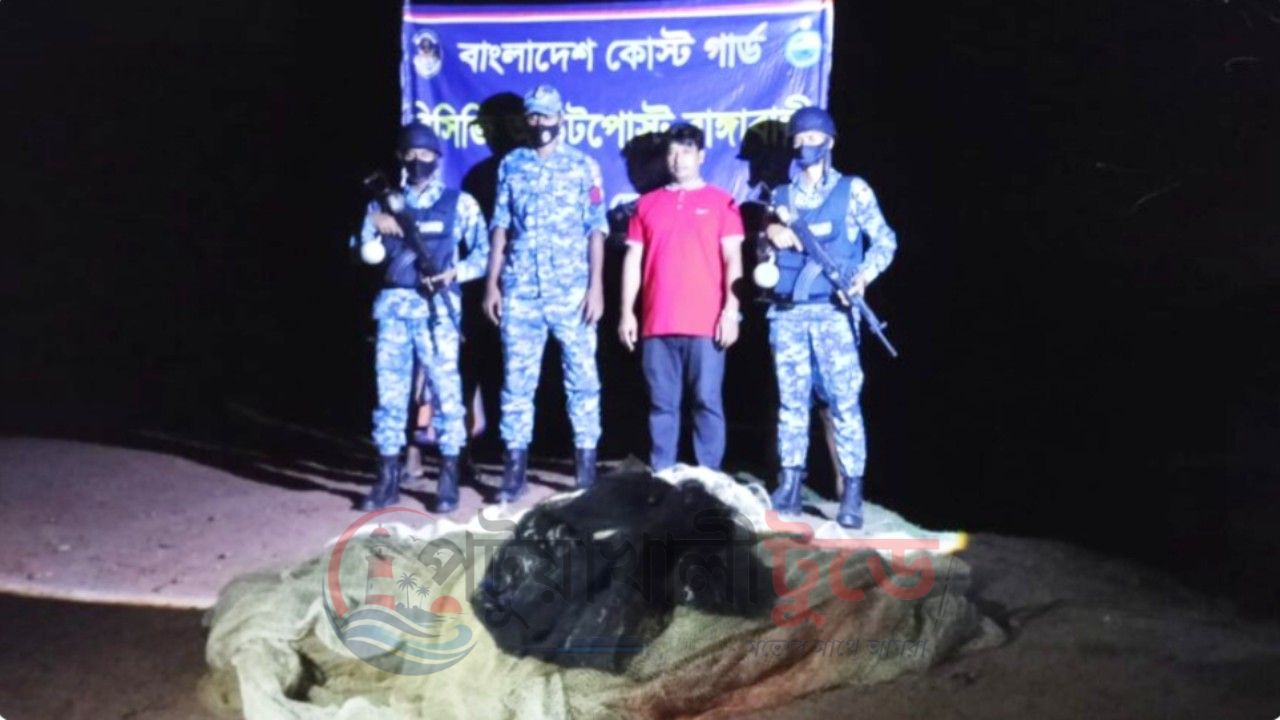 রাঙ্গাবালীতে মা ইলিশ শিকারের দায়ে ৪ জেলের কারাদণ্ড, জাল পুড়িয়ে ধ্বংস