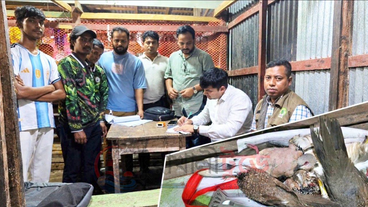 কলাপাড়ায় বুনো পাখি শিকার ও মাদক সেবনের প্রস্তুতি, দুই যুবকের দণ্ড