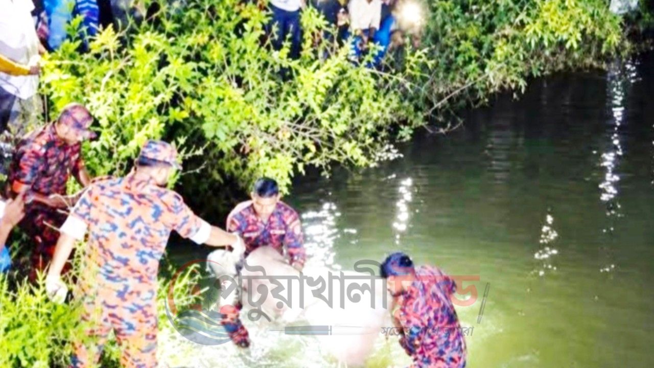 মাছের ঘেরে পাম্প চালাতে গিয়ে দুর্ঘটনা, কলাপাড়ায় প্রাণ গেল ৫৫ বছর বয়সী ব্যক্তির